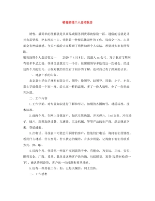 销售助理个人总结报告
