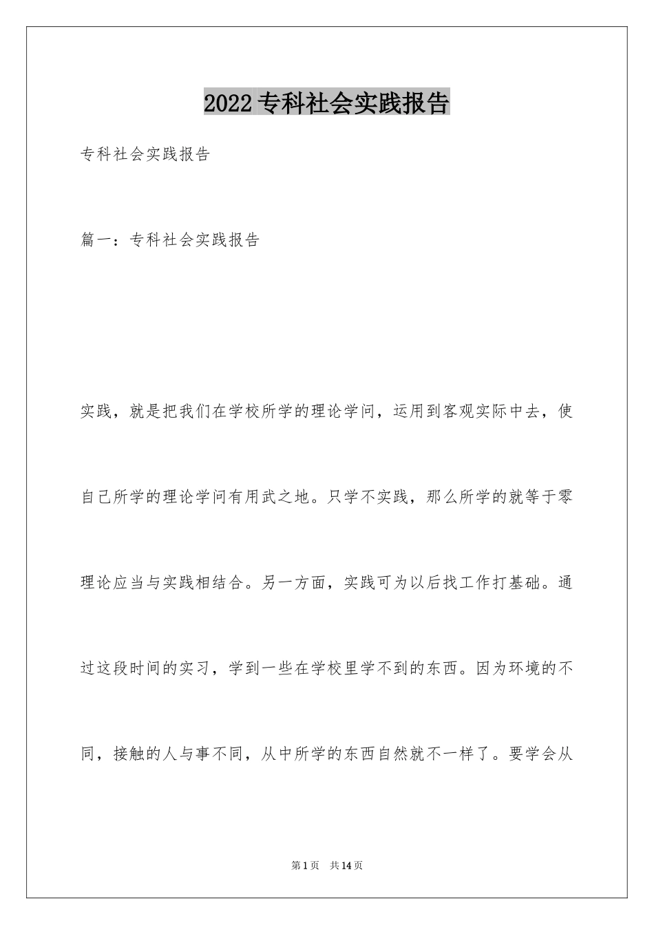 2024专科社会实践报告_第1页