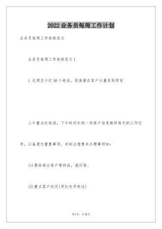 2024业务员每周工作计划_1