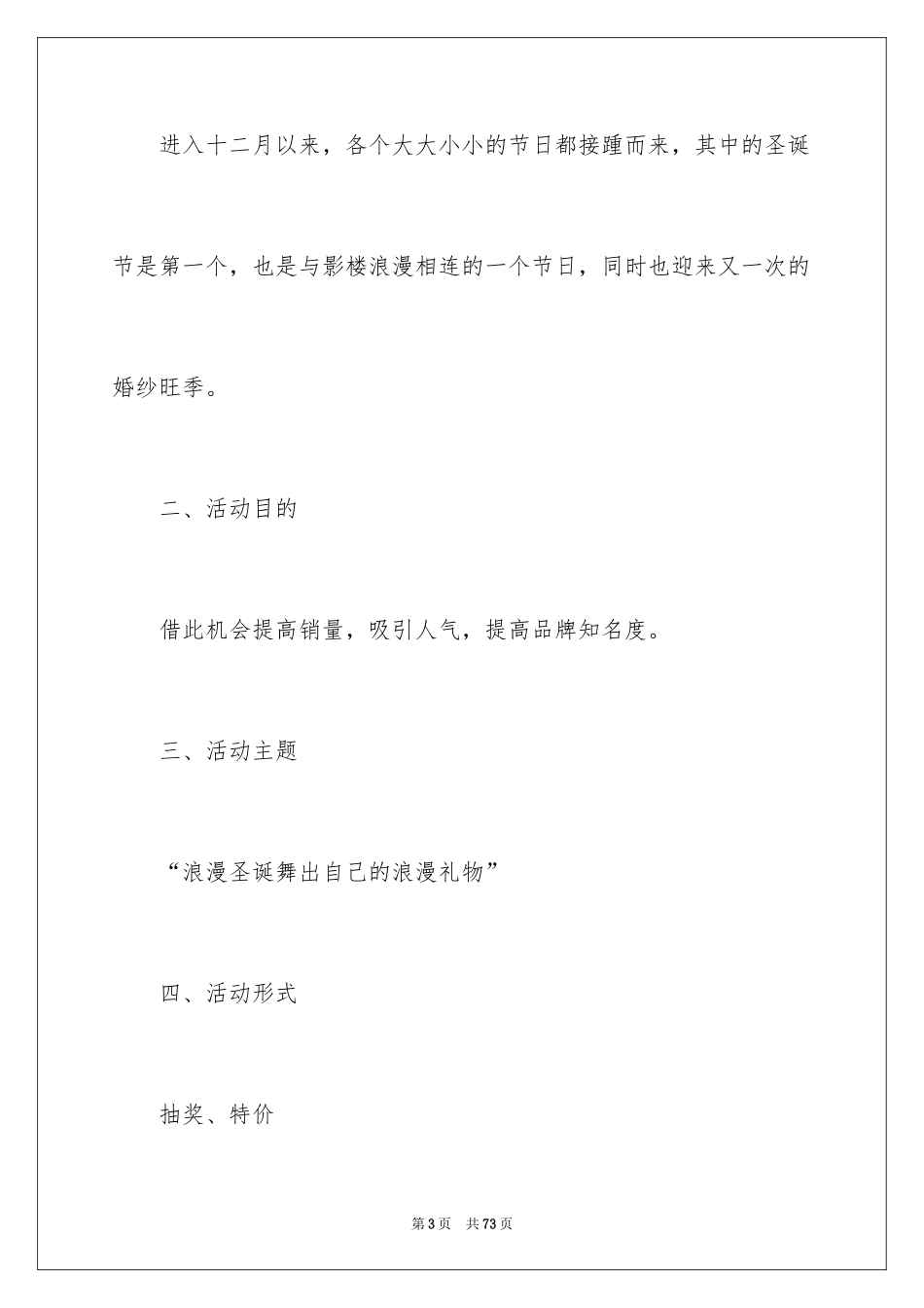 2024促销策划方案_8_第3页