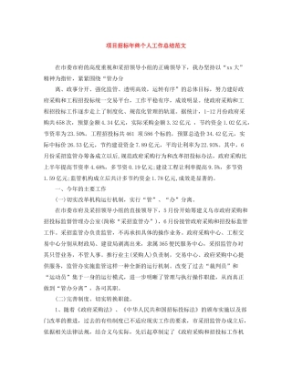 项目招标年终个人工作总结范文