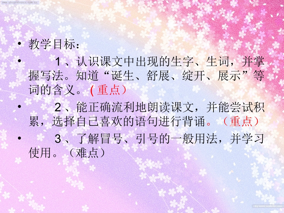 紫色的小花 (2)_第2页