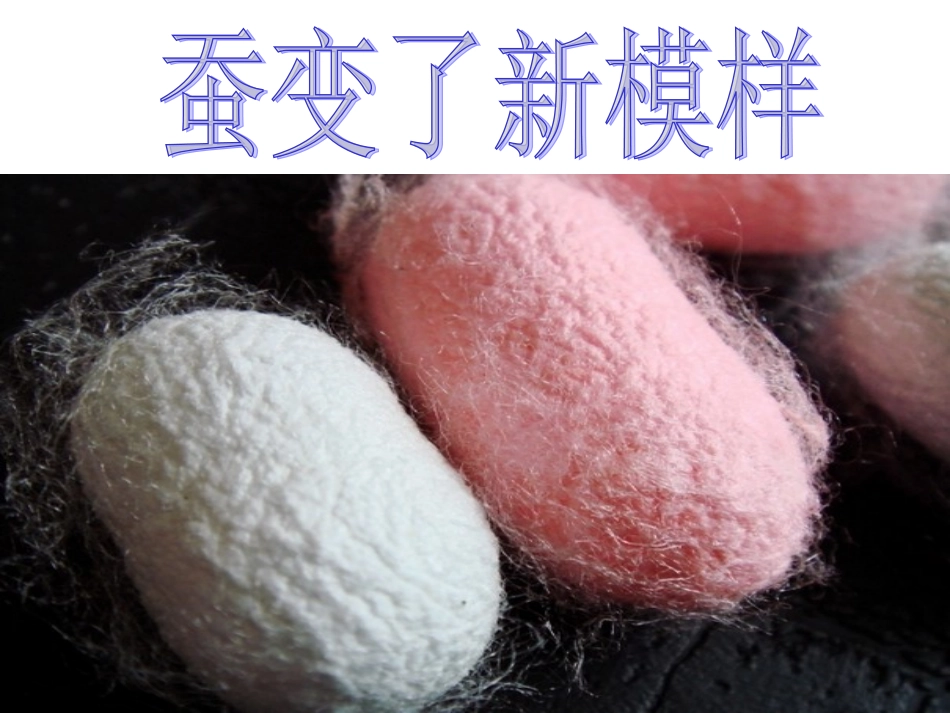 蚕变了新模样PPT三下_第1页