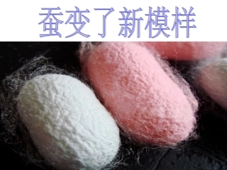蚕变了新模样PPT三下