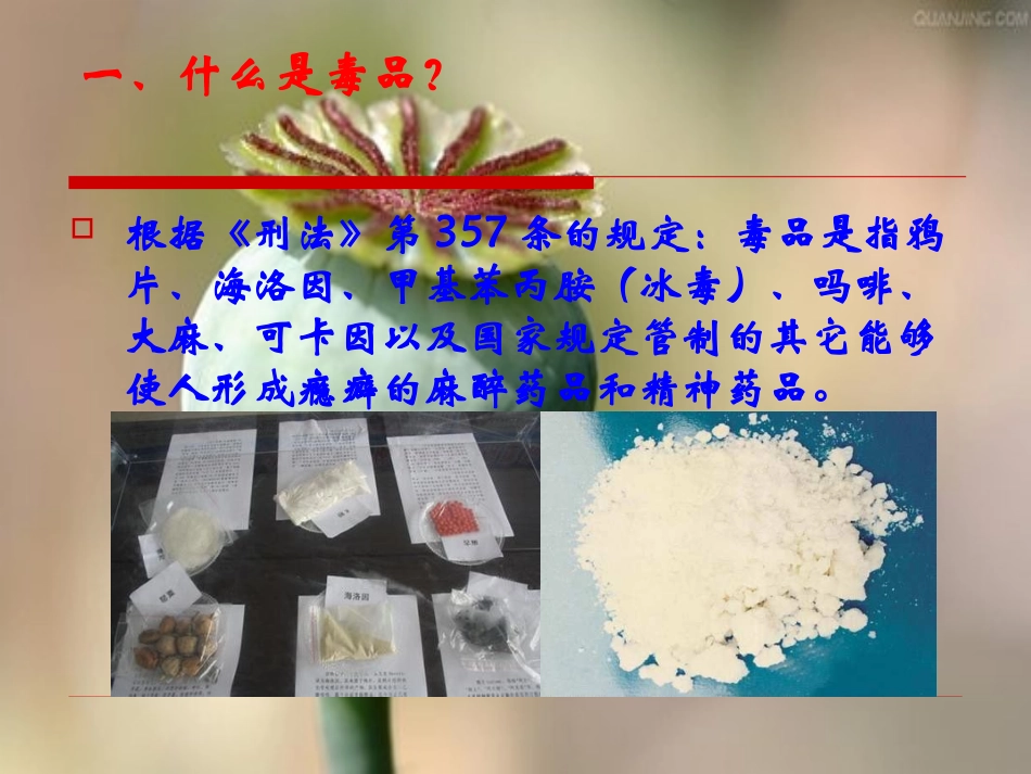 禁毒宣传教育_第2页