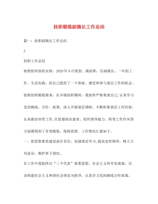 挂职锻炼副镇长工作总结