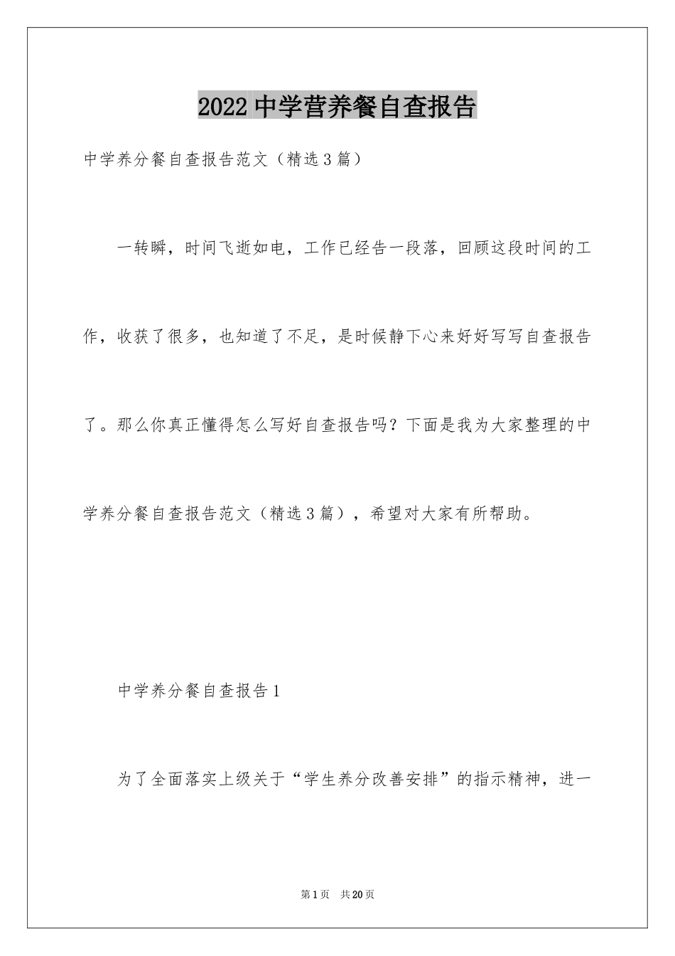 2024中学营养餐自查报告_第1页