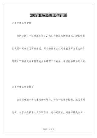 2024业务经理工作计划