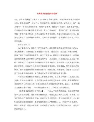 共青团员的自我评价范例