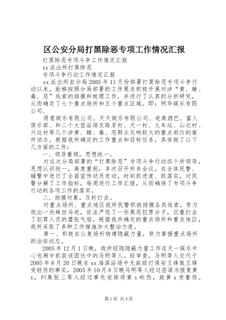 区公安分局打黑除恶专项工作情况汇报