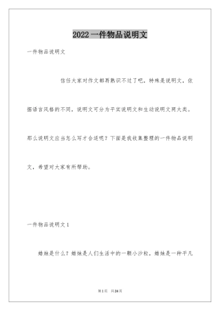 2024一件物品说明文