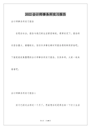 2024会计师事务所实习报告_4