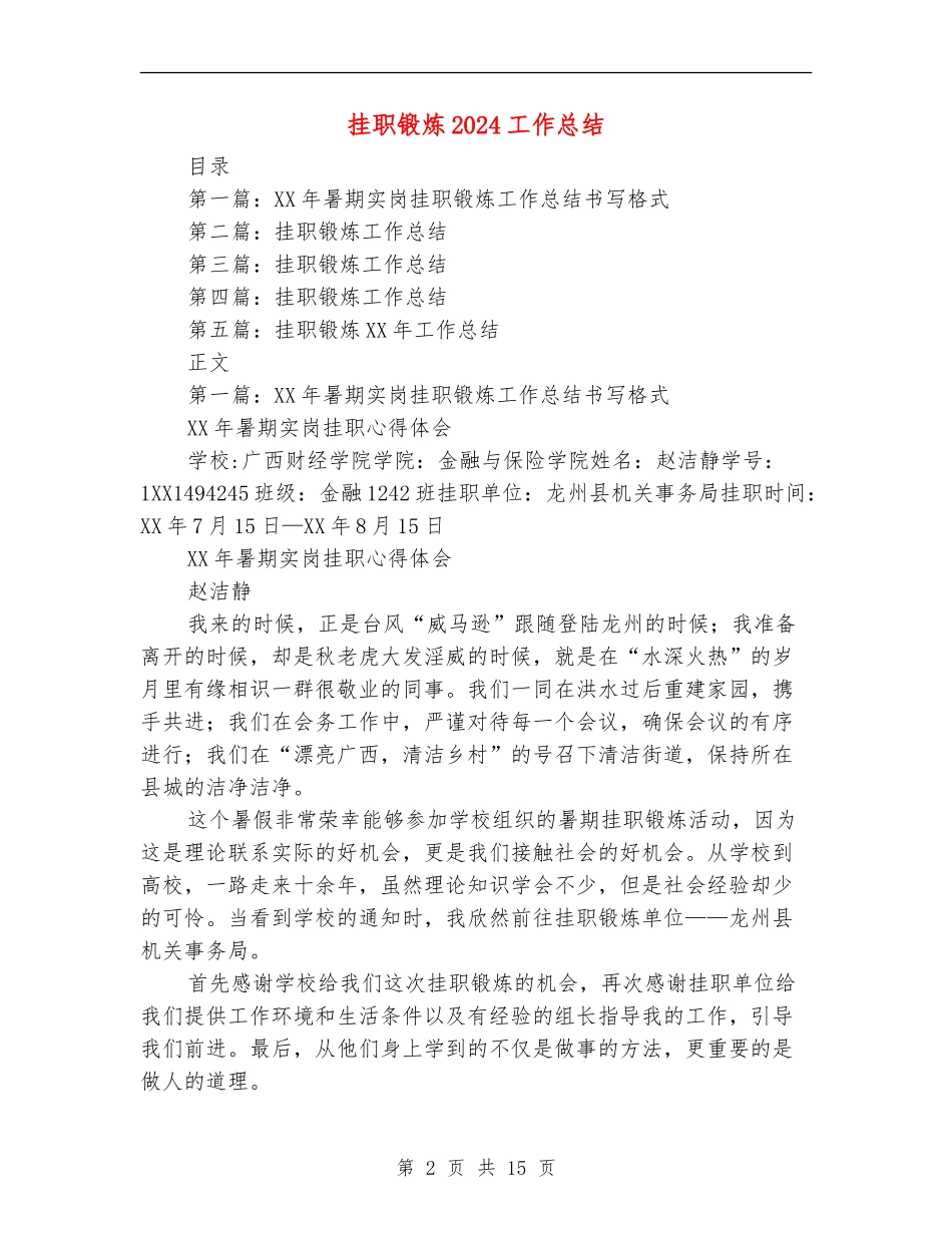 挂职锻炼2024工作总结_第2页