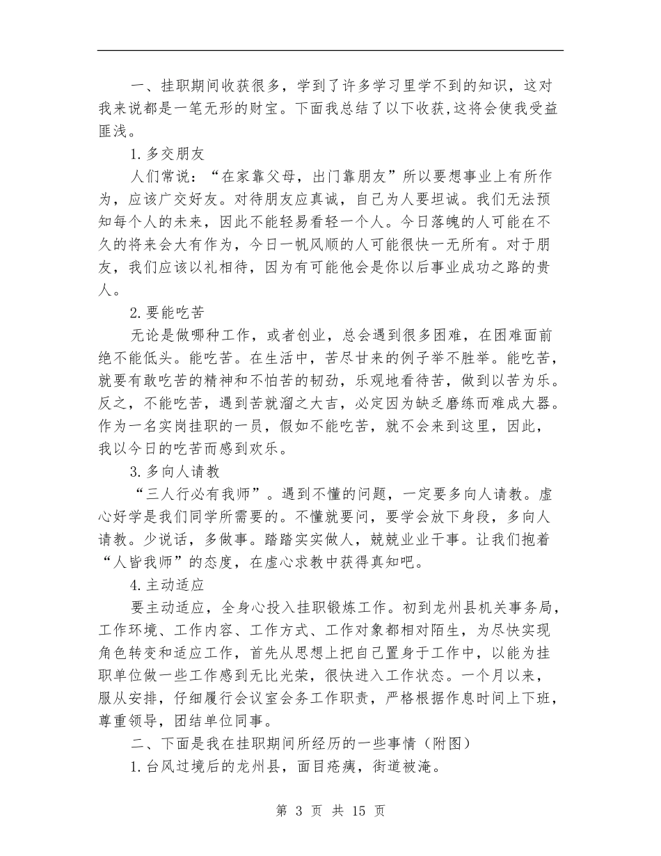 挂职锻炼2024工作总结_第3页