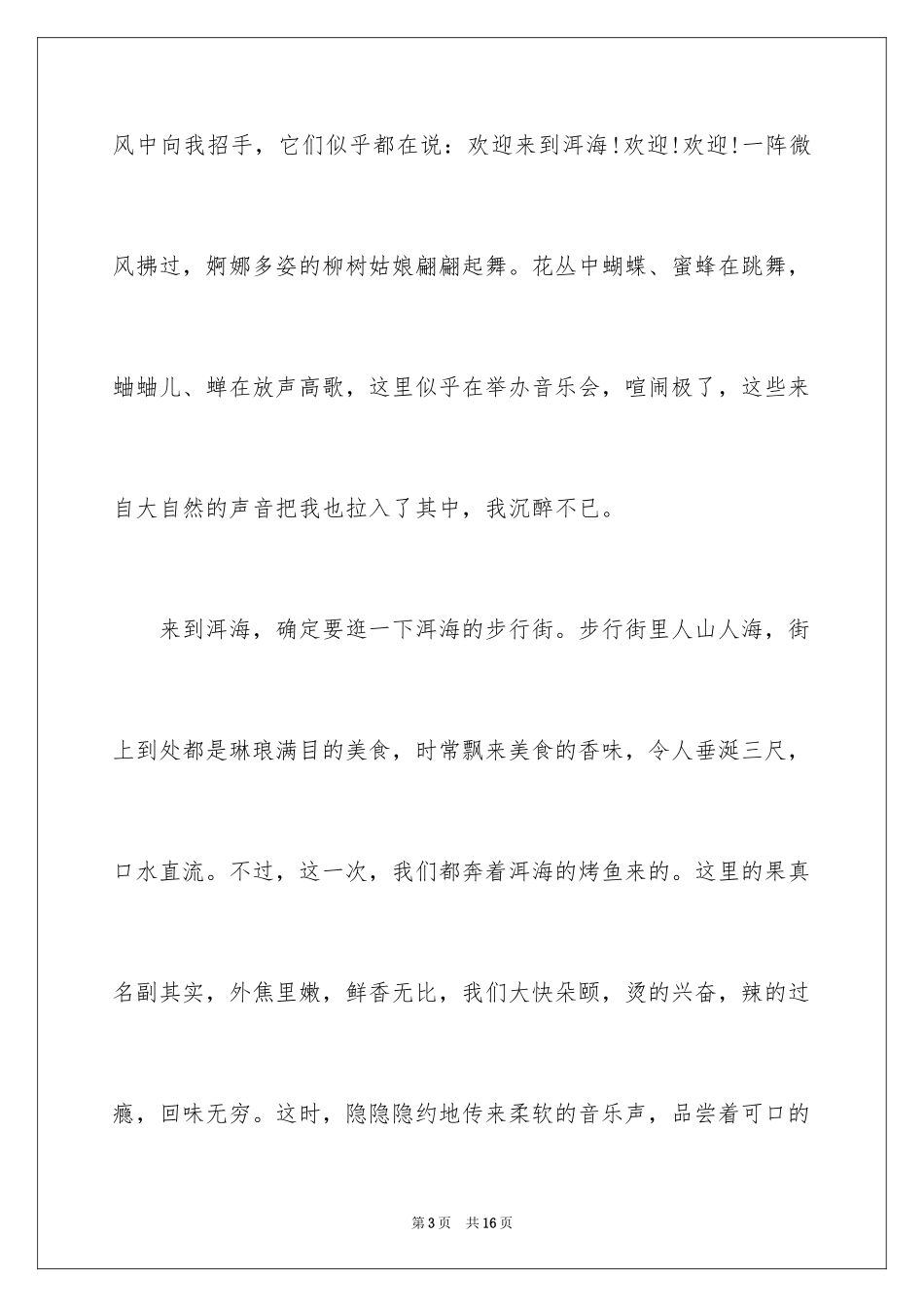 2024云南洱海日记_第3页