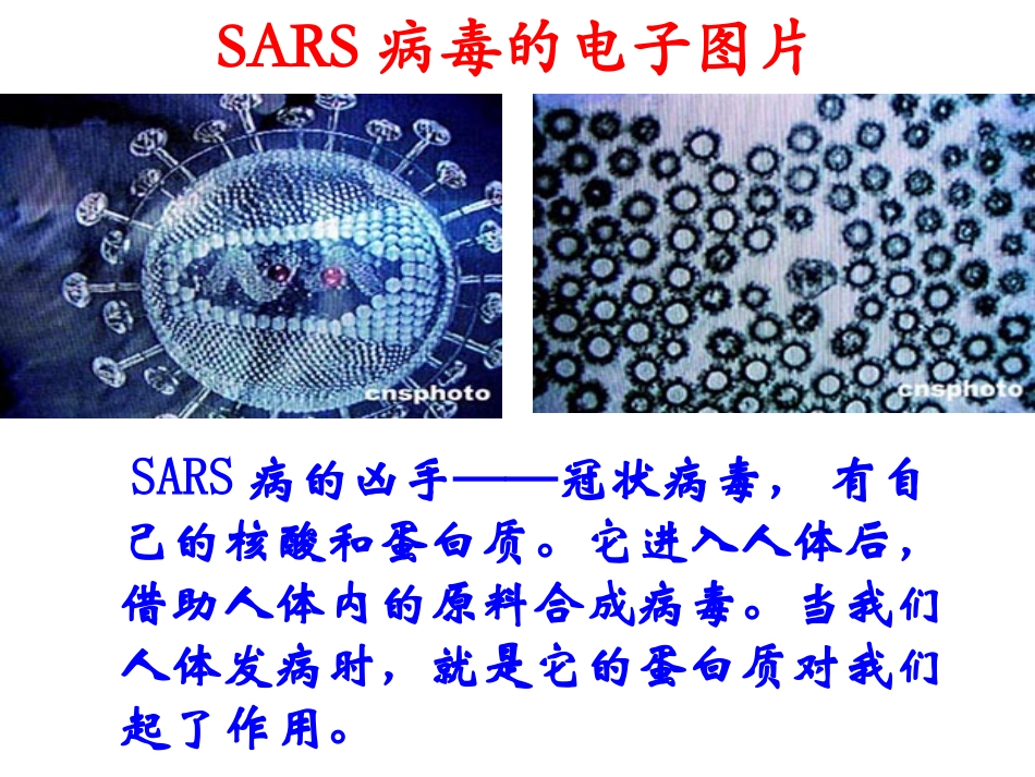 化学选修5第4章第3节教学课件1_第2页