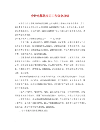 会计电算化实习工作体会总结