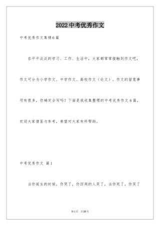 2024中考优秀作文_289