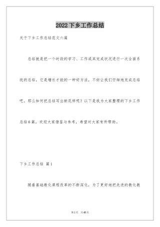 2024下乡工作总结