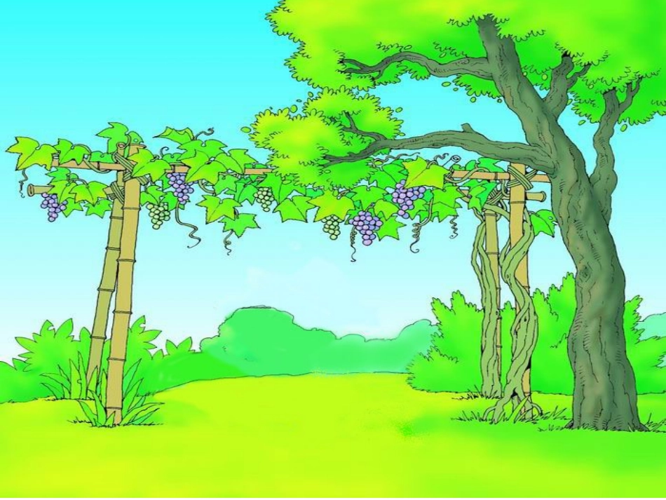 酸的和甜的(1)_第1页