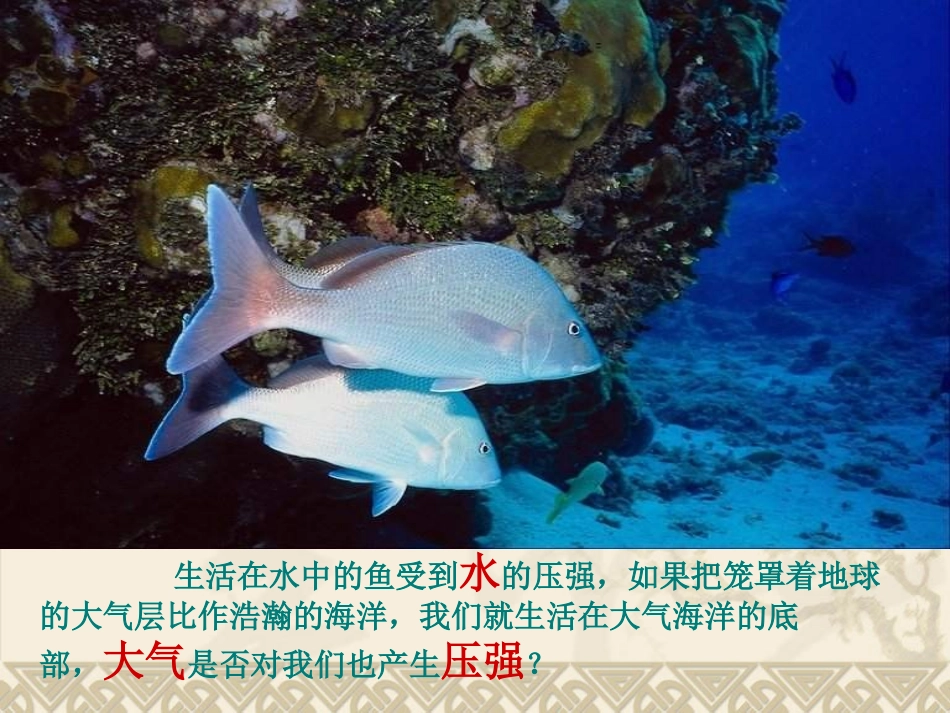 大气压强课件_第3页