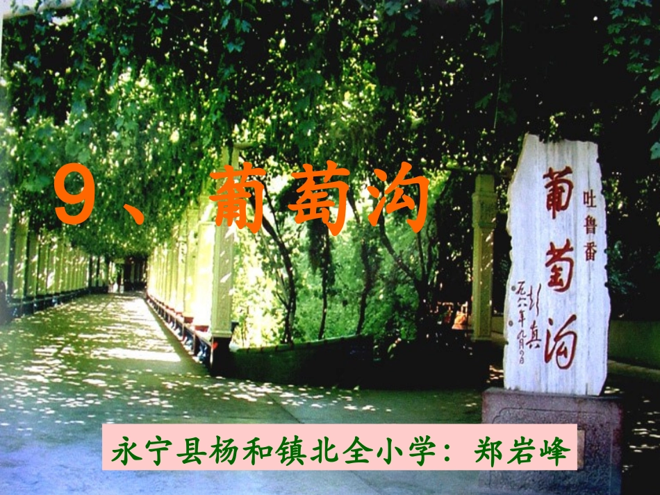 葡萄沟课件 ()_第1页