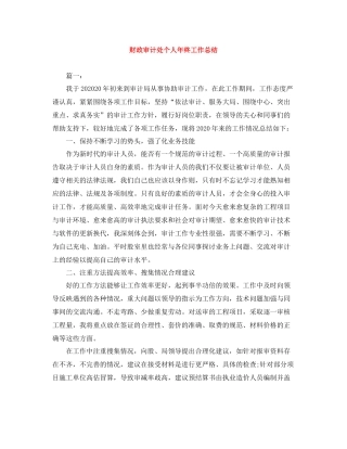 财政审计处个人年终工作总结