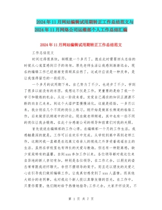 2024年11月网站编辑试用期转正工作总结范文与2024年11月网络公司运维部个人工作总结汇编