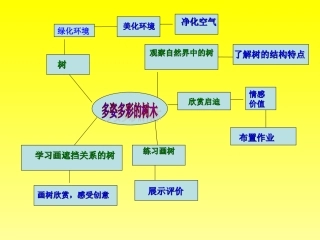 多姿多彩的树木思维导图