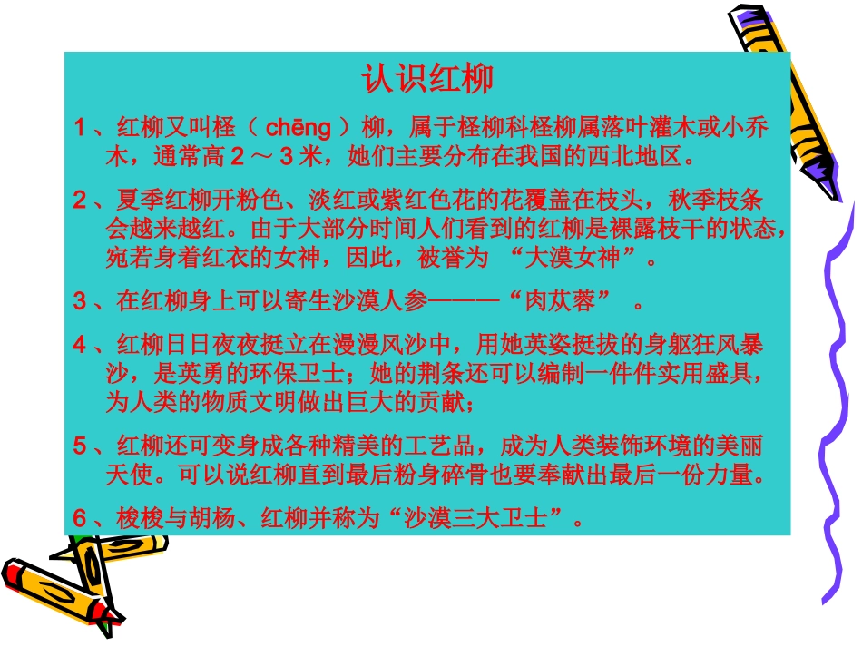 美术《戈壁红柳》吉镇李新辉_第2页
