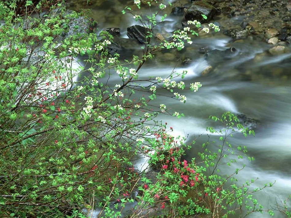 《春芽》 (2)_第3页