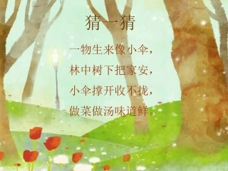 蘑菇家园课件