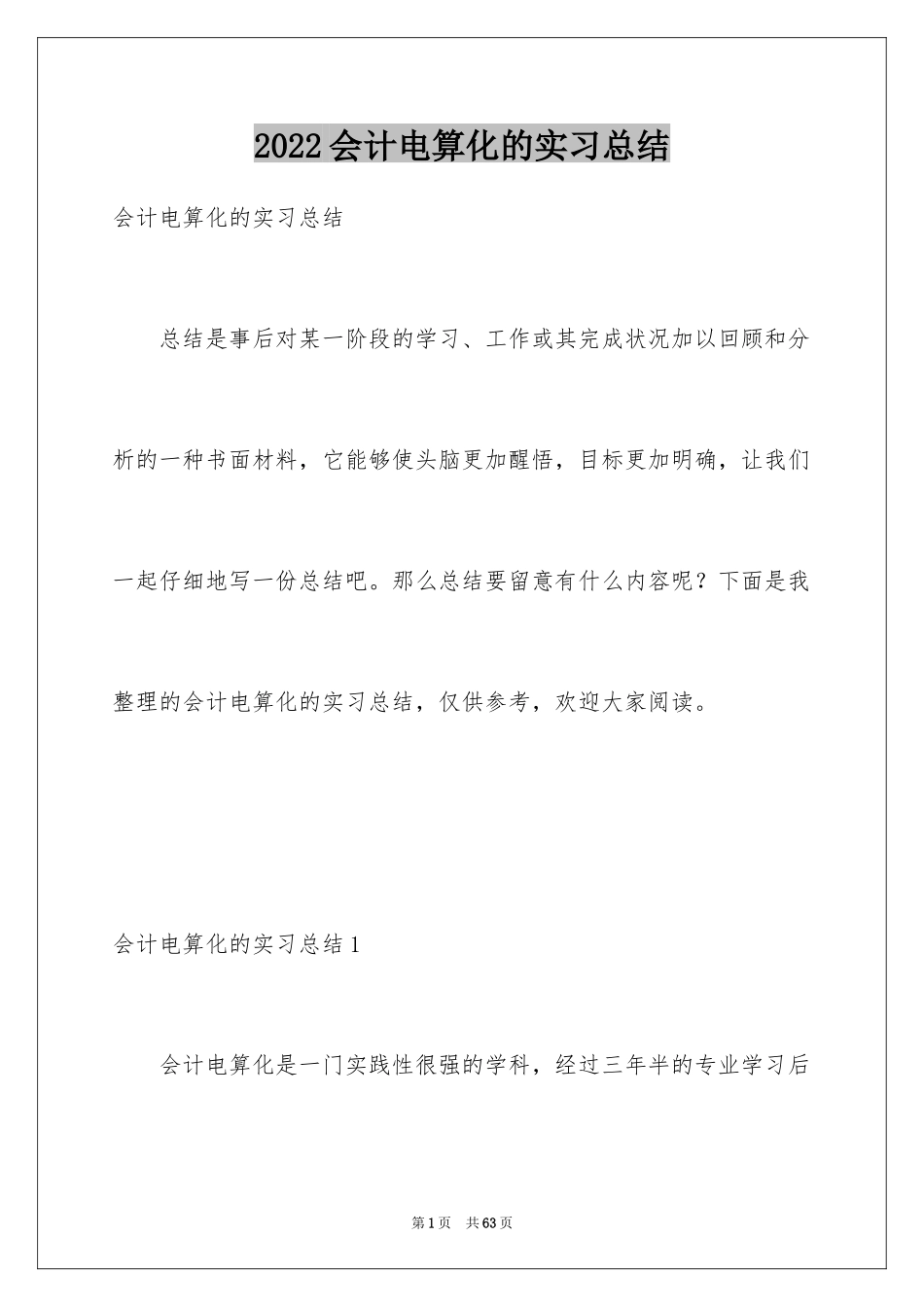 2024会计电算化的实习总结_1_第1页