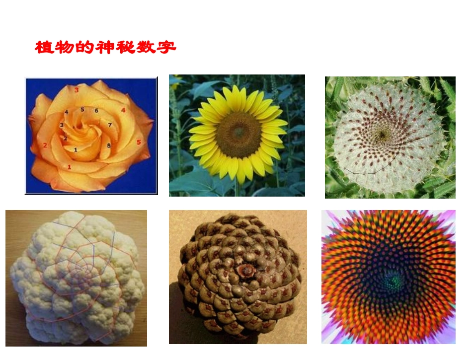 新湘教版成比例线段_第1页