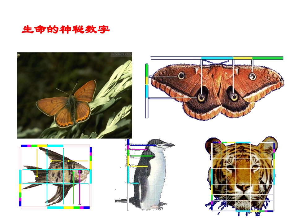 新湘教版成比例线段_第3页