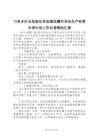 勺米乡打击危险化学品烟花爆竹非法生产经营专项行动工作自查情况汇报