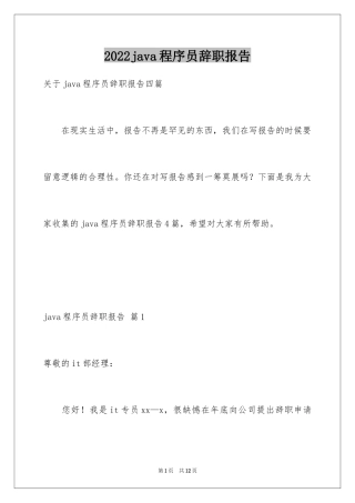 2024java程序员辞职报告