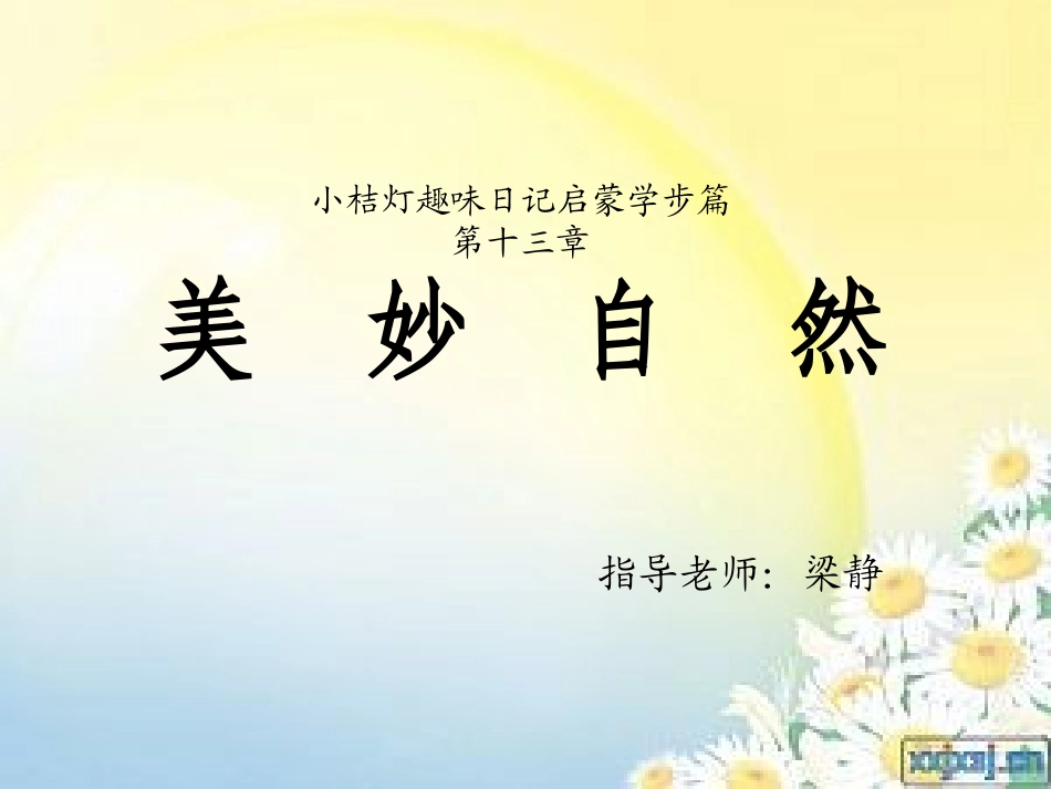 趣味日记第十三章_第1页