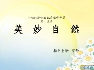 趣味日记第十三章
