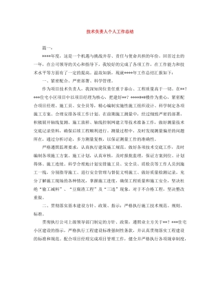 技术负责人个人工作总结