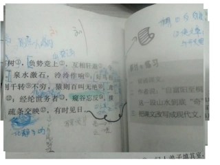 鲁滨逊漂流记讲课课件