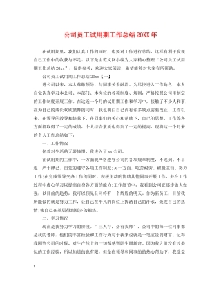 公司员工试用期工作总结2