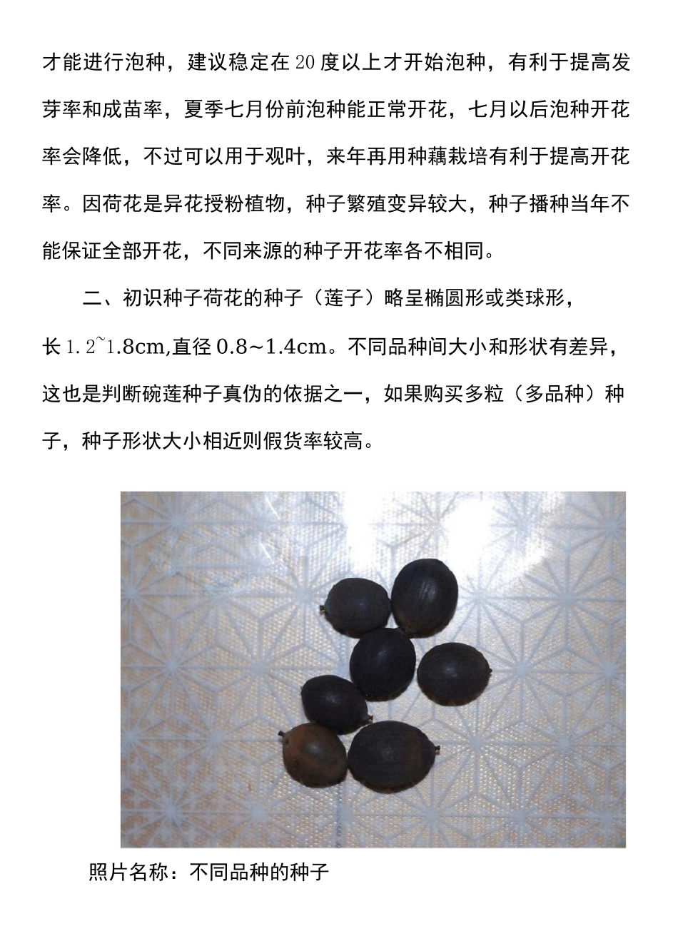 碗莲栽培技术(种子栽培部分)_第2页