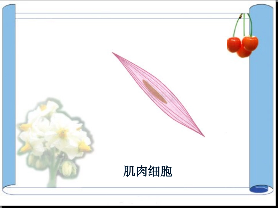 第三章生物体的结构_第3页