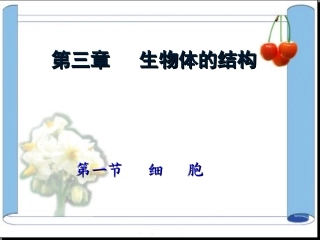 第三章生物体的结构