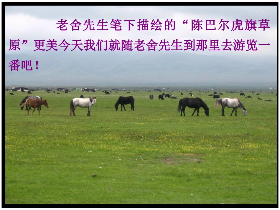 《草原》课件3_第3页