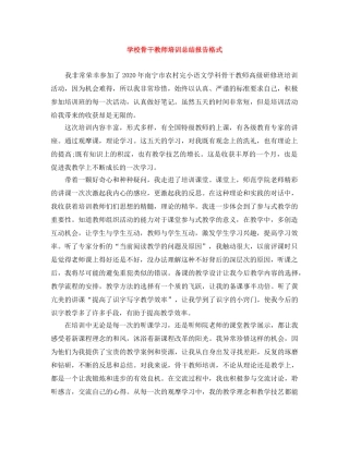 学校骨干教师培训总结报告格式 