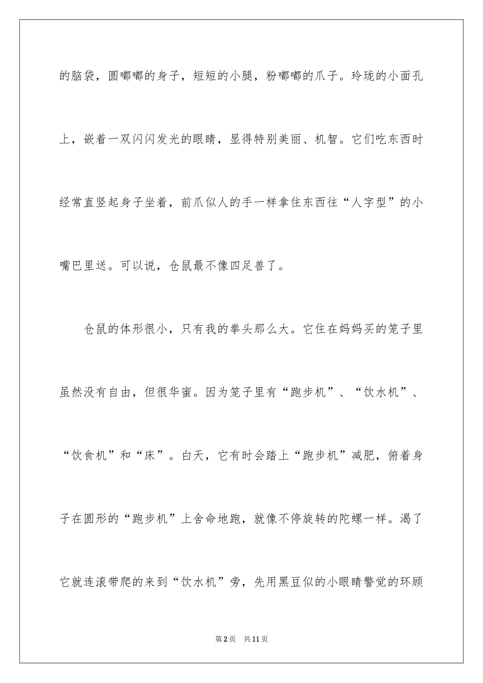 2024仓鼠说明文_1_第2页