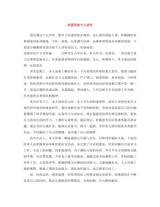 对团员的个人评价