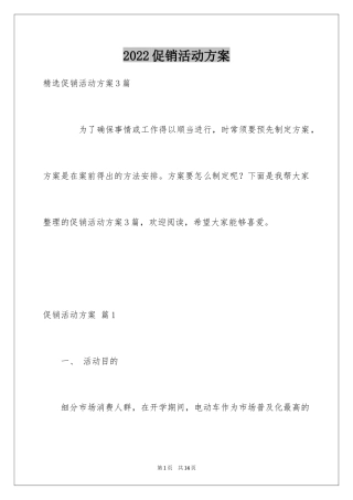 2024促销活动方案_43